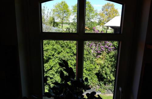 Ferienhof Kleemann - Foto 12