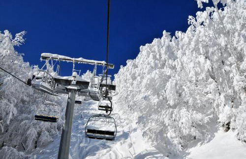 Agriturismo Del Cimone - La Palazza - Photo 56