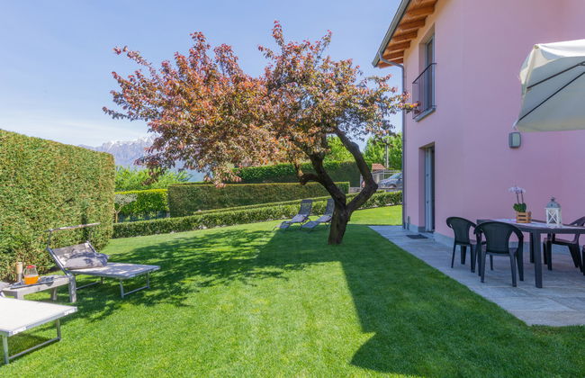 Orchidea (CCO555) - Foto 25