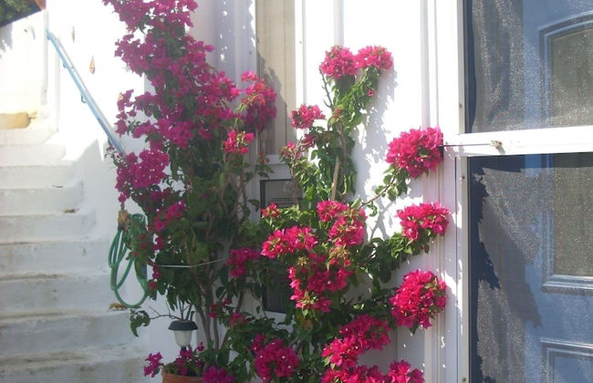 Alkistis Cozy By The Beach Apt in Ikaria Island, Therma Ground Floor - Foto 44