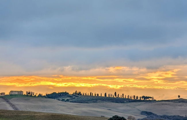 Podere Spedalone - Photo 77