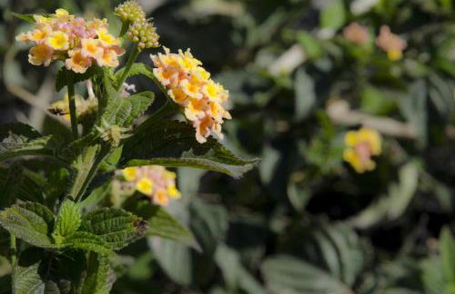 Casa Vacanza Cicirello - Foto 22