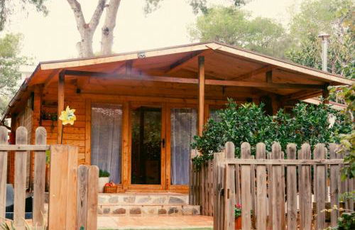 Cabaña madera en bosque 100 ECO - Foto 28