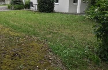 Friedensoase - Foto 8