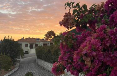 Villa Myrto - Foto 10