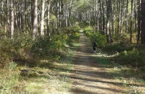 Les Sables Blancs - Foto 25