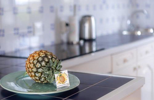 Casa Beira Mar - Photo 38