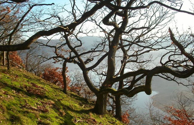 Holiday Apartment Siegmann - Foto 15