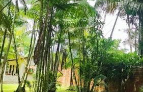 Chácara Bela Vista - Photo 21