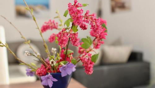 Haus Seestern mit Strandkorb inkl - Foto 5, Other