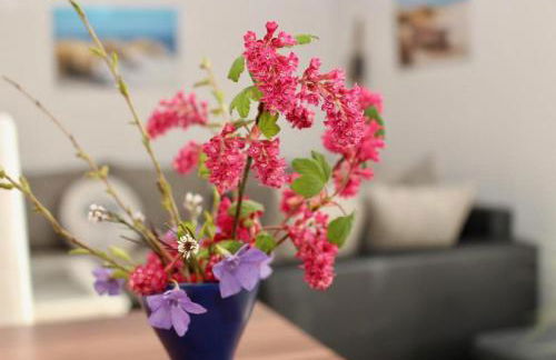 Haus Seestern mit Strandkorb inkl - Foto 5