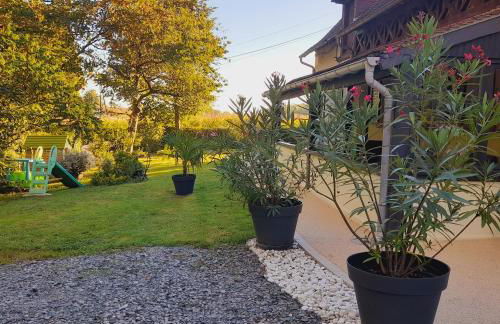 Gite les Vignes du Château - 30 min Beauval - Foto 8