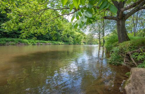 Cabin on the New River with Easy Steps to the River,Hot Tub, Fire Pit - Photo 4