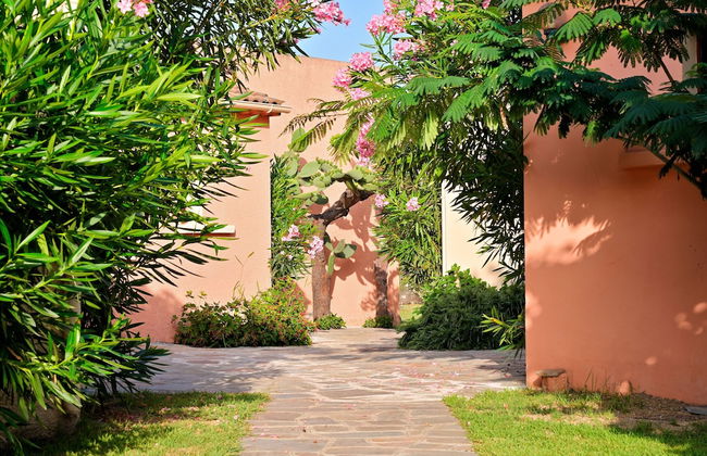 Pinea Mare - Foto 17