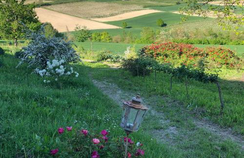 Cascina Vicentini - Foto 27