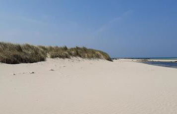 Bisquine et Reder Mor - Foto 48