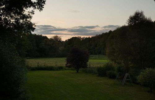 Wald-Apartment - Foto 16