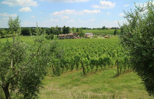 COBUE "Wine resort & Spa" - Foto 52