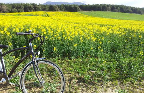 Casa Rural Basaula - Foto 40