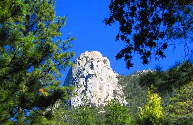 Always Inn Idyllwild Vacation Cottages - Foto 23