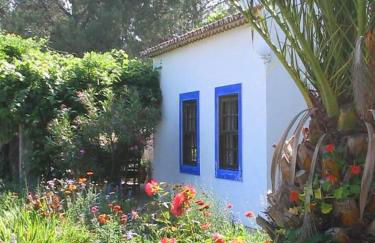 Quinta Da Relva - A traditional farmhouse in a stunning location - Foto 51