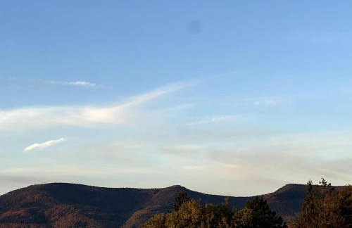 L'écrin d'Anne et Stéphane - vue sur Strasbourg - Foto 79