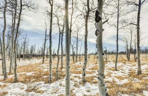 Cabin On 13 Acres With A Pool Table And Jacuzzi Tub - Foto 71