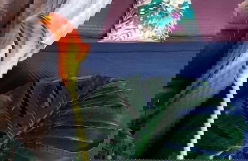 Harrera Perhentian Long Beach - Foto 4