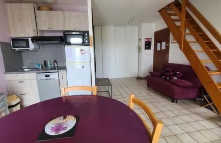 T2 Duplex 40m2 proche Orly et RER C 28mn Paris - Foto 8