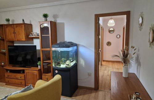 Lovely Balaídos - Foto 26