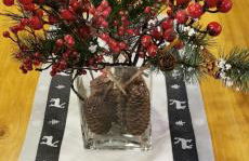 Le Renne Blanc Pyrénées de France - Foto 17