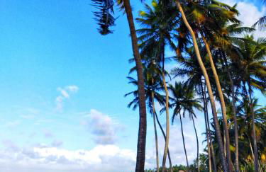 Cabanas Caraúbas - frente para o mar, ar & Tv - Foto 53