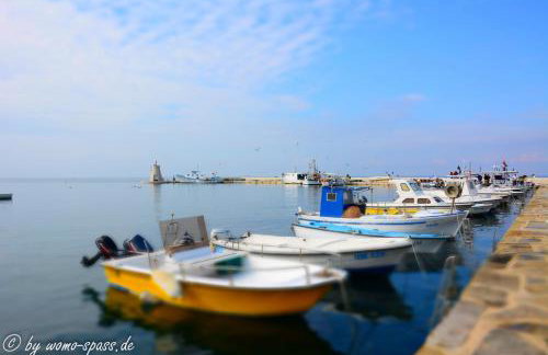 Apartments Rosa - Foto 11