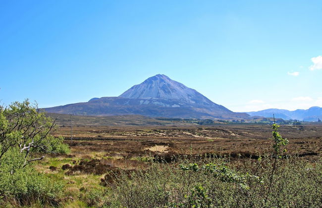 The Song House - Photo 13