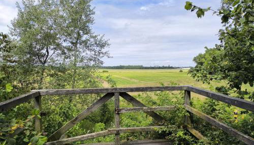 Ferienhaus Dini, 25668 - Foto 3