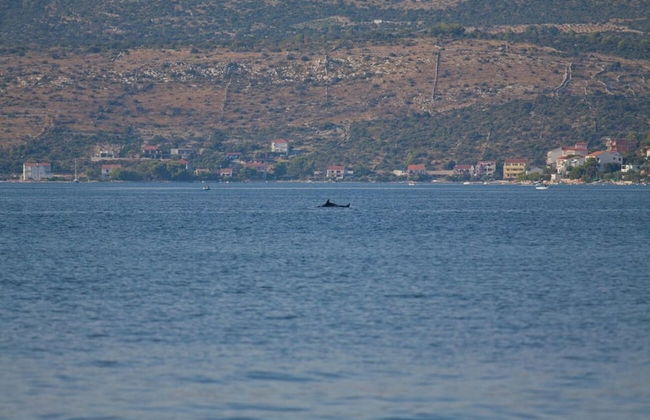 Vik - 60 m From the sea - A4 - Foto 8