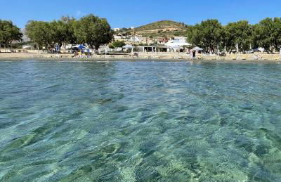 The Velanidies - Οι Βελανιδιές - Foto 29