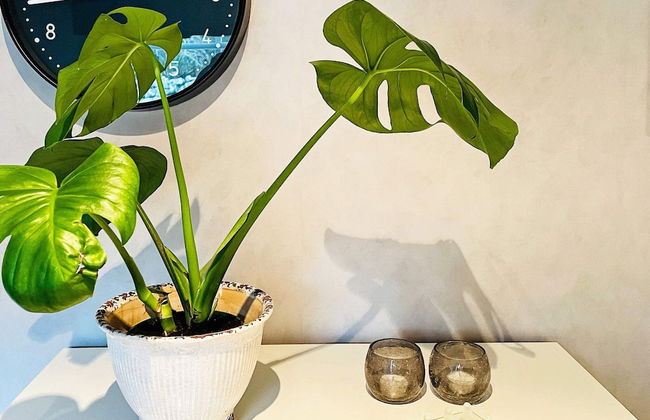 4 Star Holiday Home in Stillingson - Foto 24