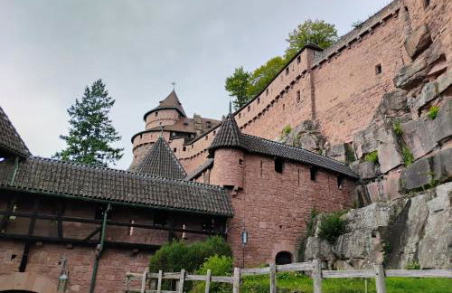 Gîte Le Marronnier, parking et terrasse au calme, entre Colmar-Riquewihr et Obernai, vue sur espaces verts et coteaux d Alsace, route du vin-châteaux - Foto 34