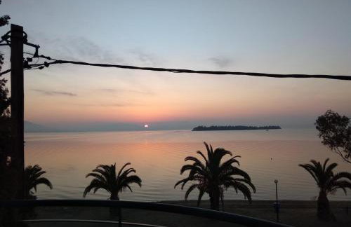 House on the beach - Photo 38