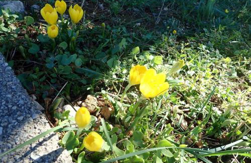 Apartment by Velebit Canal near Paklenica - Photo 31
