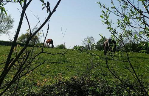 Les Clés Nature - Foto 12