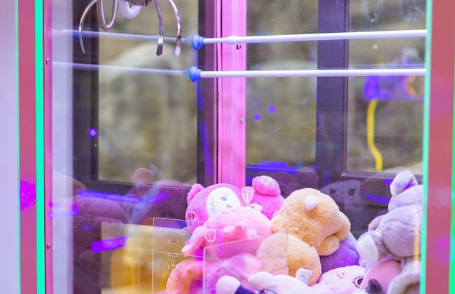 Tea Resort Prenn - Foto 33