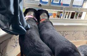 Compton House 1 - Foto 49