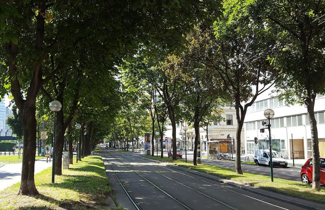 Sobieski City Center Apartments - Foto 78