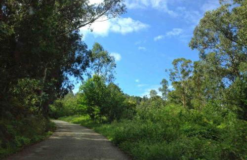 Casa Pazo San Blas - Foto 31