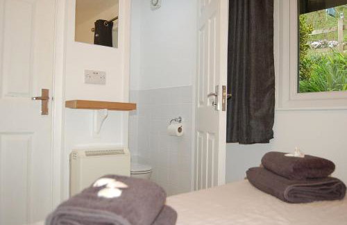 No 6 at Dolgoch Falls Cottages - Foto 30