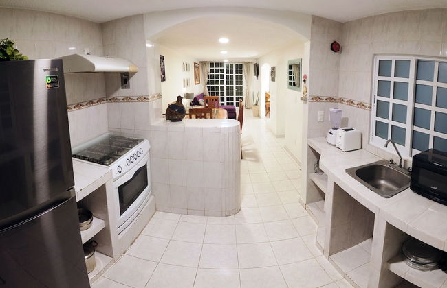 HominngBird - Foto 42