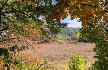 Villa Silvia - Photo 78