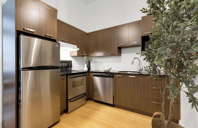 Liv MTL - Main - Foto 60